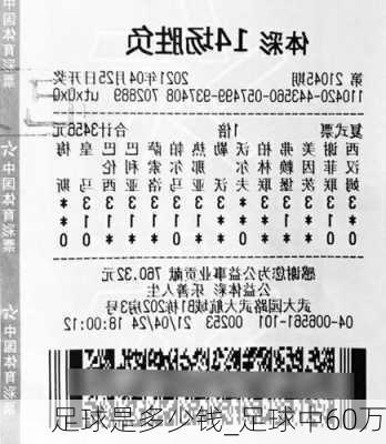 足球是多少钱_足球中60万