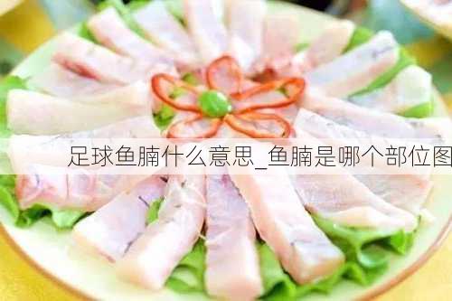 足球鱼腩什么意思_鱼腩是哪个部位图