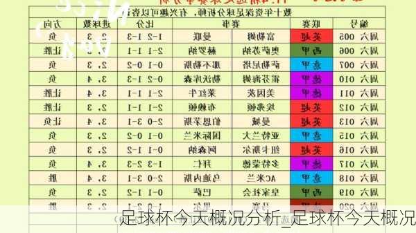 足球杯今天概况分析_足球杯今天概况