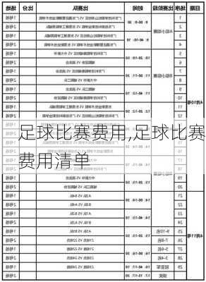 足球比赛费用,足球比赛费用清单