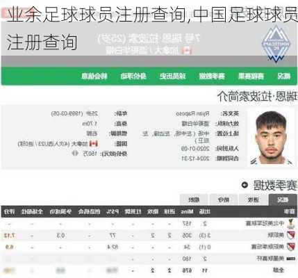 业余足球球员注册查询,中国足球球员注册查询