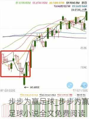 步步为赢足球_步步为赢足球小说全文免费阅读