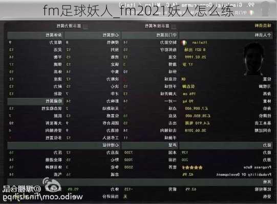 fm足球妖人_fm2021妖人怎么练