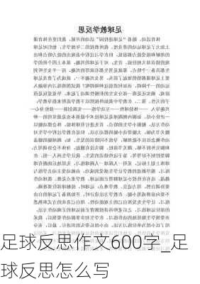 足球反思作文600字_足球反思怎么写