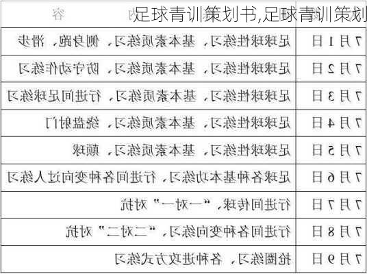 足球青训策划书,足球青训策划