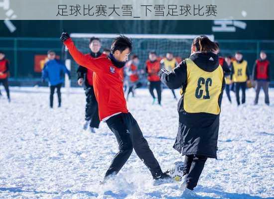 足球比赛大雪_下雪足球比赛