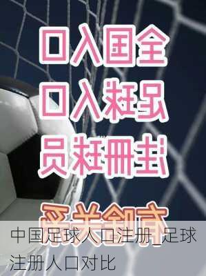 中国足球人口注册_足球注册人口对比