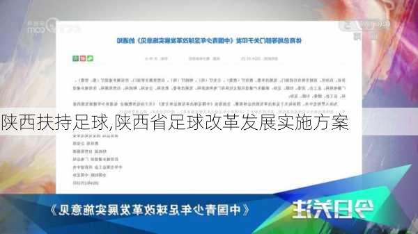 陕西扶持足球,陕西省足球改革发展实施方案