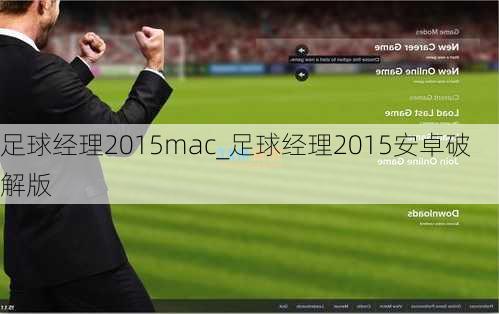 足球经理2015mac_足球经理2015安卓破解版