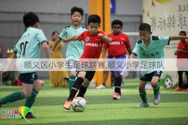 顺义区小学生足球联赛,顺义小学足球队