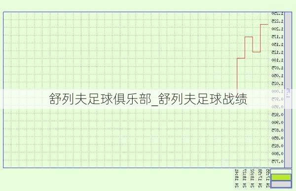 舒列夫足球俱乐部_舒列夫足球战绩