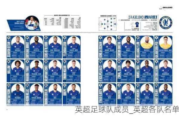 英超足球队成员_英超各队名单