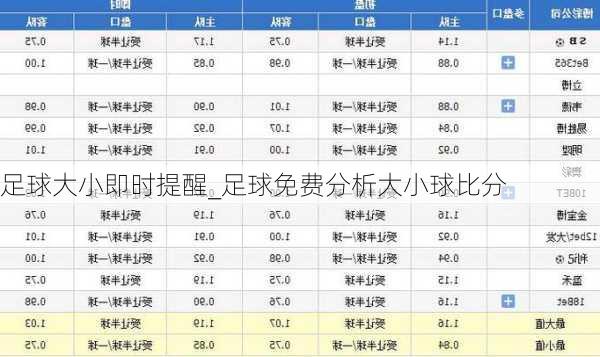 足球大小即时提醒_足球免费分析大小球比分