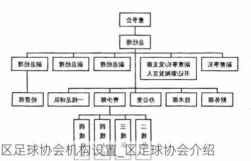 区足球协会机构设置_区足球协会介绍