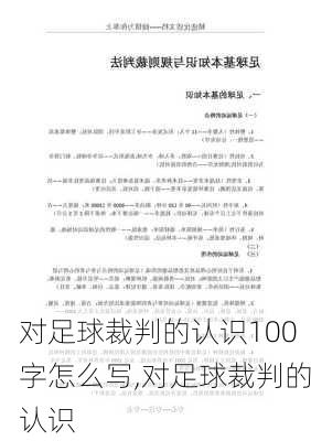 对足球裁判的认识100字怎么写,对足球裁判的认识