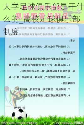 大学足球俱乐部是干什么的_高校足球俱乐部制度