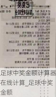 足球中奖金额计算器在线计算_足球中奖金额