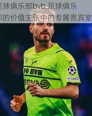 足球俱乐部bvb,足球俱乐部的价值主张中的专属贵宾室