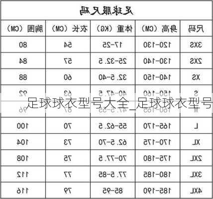 足球球衣型号大全_足球球衣型号