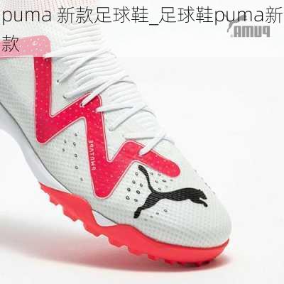 puma 新款足球鞋_足球鞋puma新款