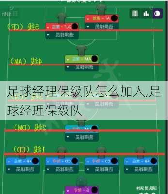 足球经理保级队怎么加入,足球经理保级队