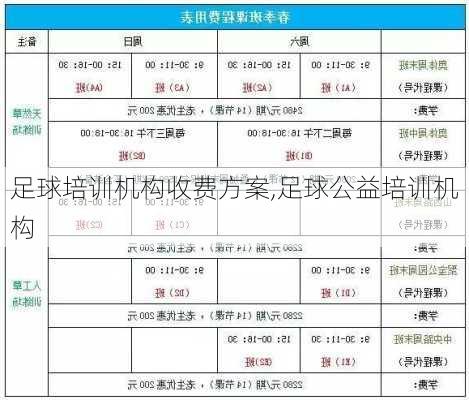 足球培训机构收费方案,足球公益培训机构