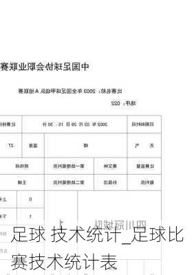 足球 技术统计_足球比赛技术统计表