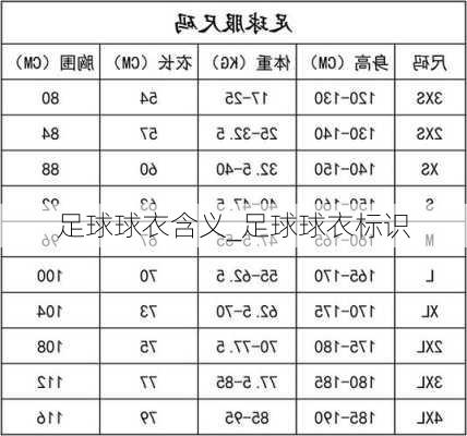 足球球衣含义_足球球衣标识