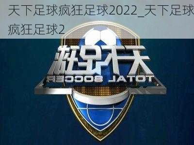 天下足球疯狂足球2022_天下足球疯狂足球2