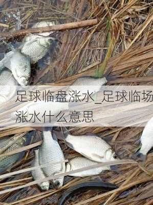 足球临盘涨水_足球临场涨水什么意思