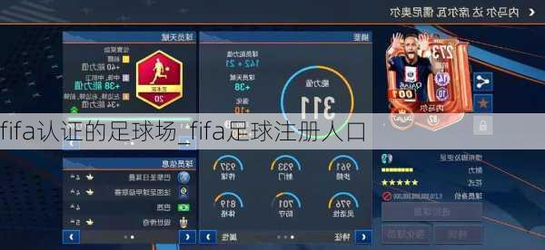 fifa认证的足球场_fifa足球注册人口