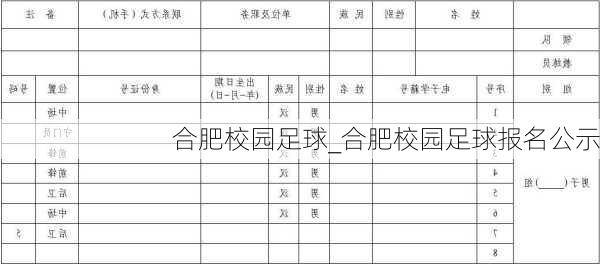 合肥校园足球_合肥校园足球报名公示