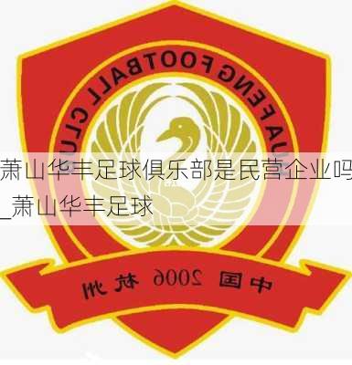 萧山华丰足球俱乐部是民营企业吗_萧山华丰足球