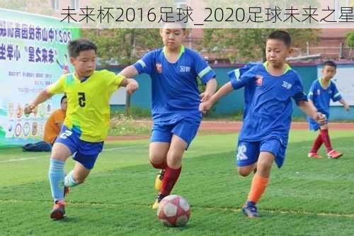 未来杯2016足球_2020足球未来之星