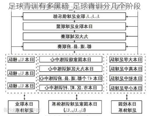 足球青训有多黑暗_足球青训分几个阶段