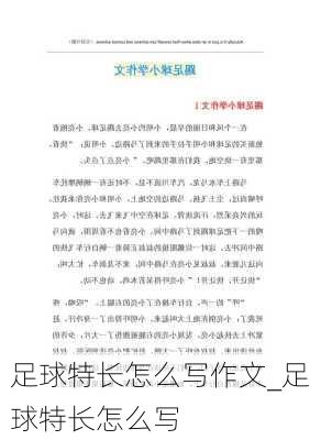 足球特长怎么写作文_足球特长怎么写