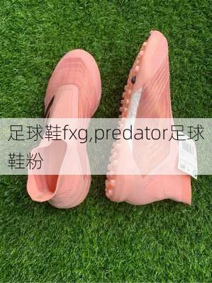 足球鞋fxg,predator足球鞋粉