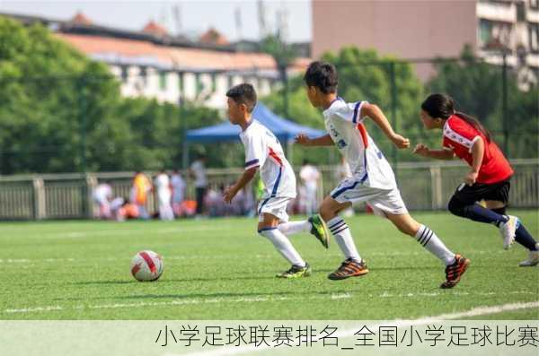 小学足球联赛排名_全国小学足球比赛