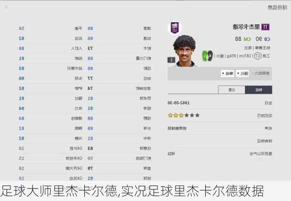 足球大师里杰卡尔德,实况足球里杰卡尔德数据