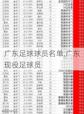 广东足球球员名单,广东现役足球员