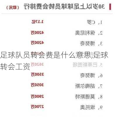 足球队员转会费是什么意思,足球转会工资