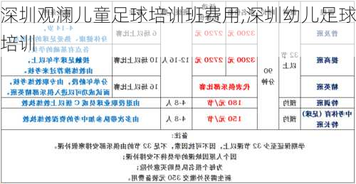 深圳观澜儿童足球培训班费用,深圳幼儿足球培训