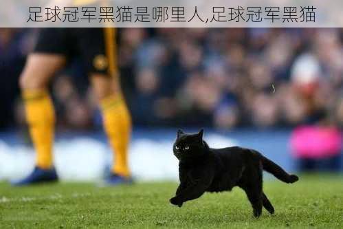 足球冠军黑猫是哪里人,足球冠军黑猫