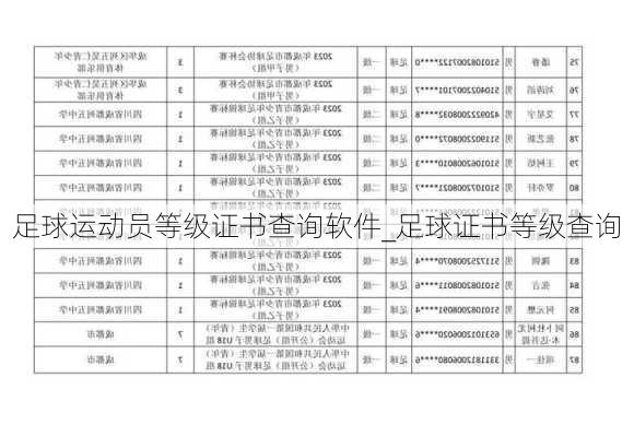 足球运动员等级证书查询软件_足球证书等级查询