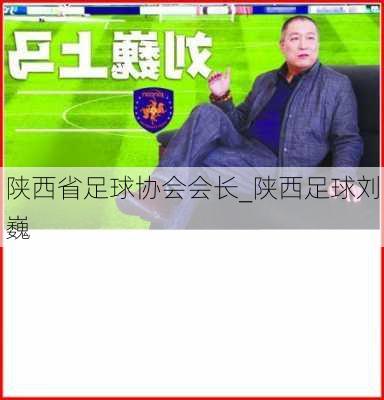 陕西省足球协会会长_陕西足球刘巍