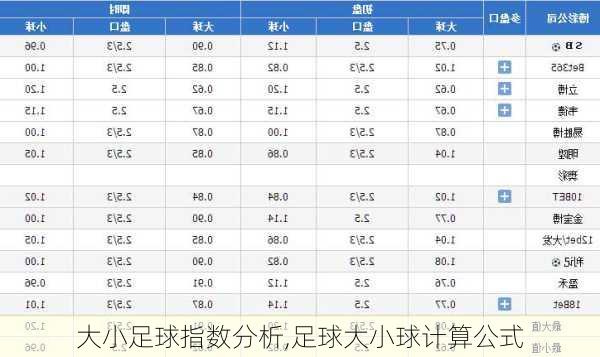 大小足球指数分析,足球大小球计算公式