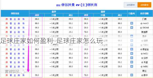 足球庄家如何盈利_足球庄家怎么玩