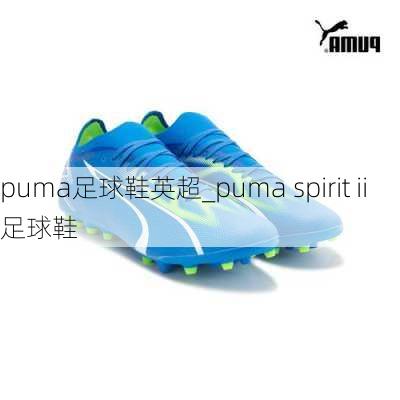 puma足球鞋英超_puma spirit ii足球鞋