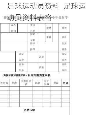 足球运动员资料_足球运动员资料表格