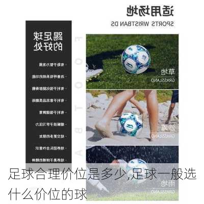 足球合理价位是多少,足球一般选什么价位的球